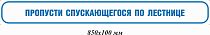 Пропусти спускающегося по лестнице 850х100 мм